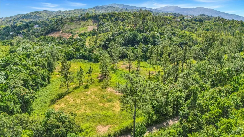 63 SECTOR MONTICELLO Cidra, PR 00739