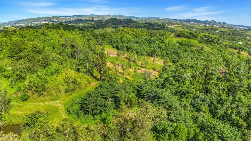 63 SECTOR MONTICELLO Cidra, PR 00739