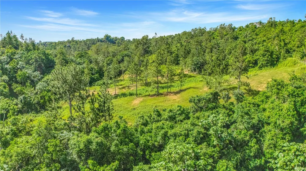 63 SECTOR MONTICELLO Cidra, PR 00739
