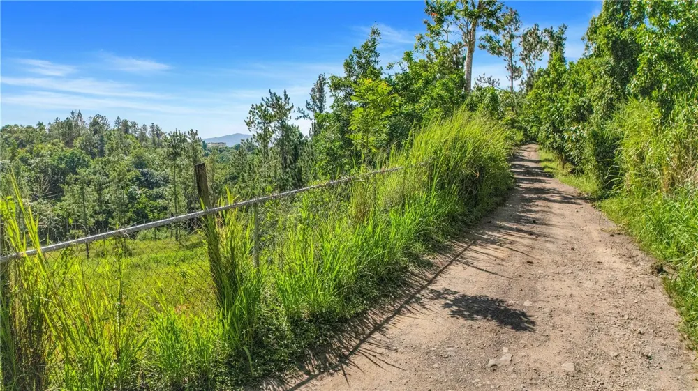 63 SECTOR MONTICELLO Cidra, PR 00739
