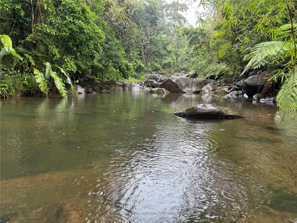 KM 22.1 PR 186 Rio Grande, PR 00745