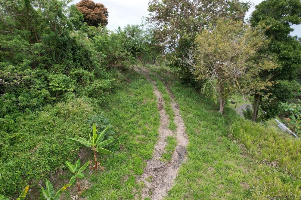 KM 22.1 PR 186 Rio Grande, PR 00745