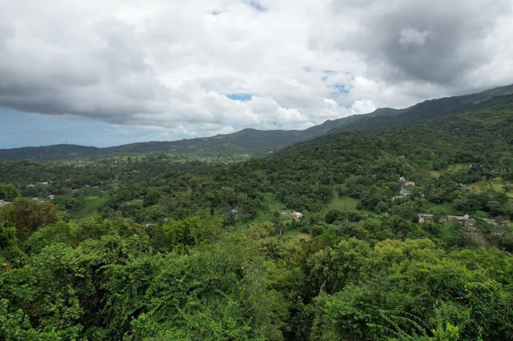 KM 22.1 PR 186 Rio Grande, PR 00745