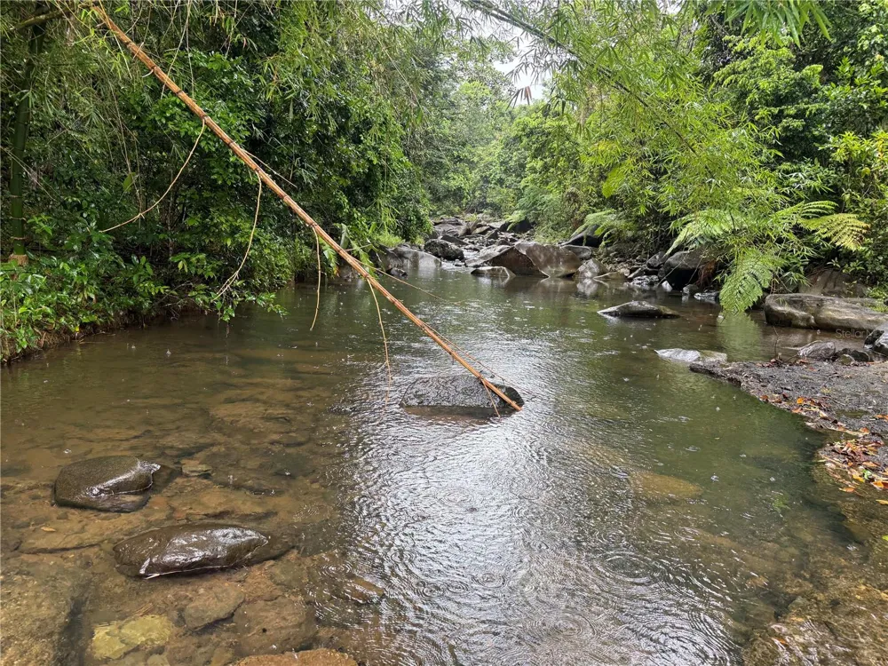 KM 22.1 PR 186 Rio Grande, PR 00745