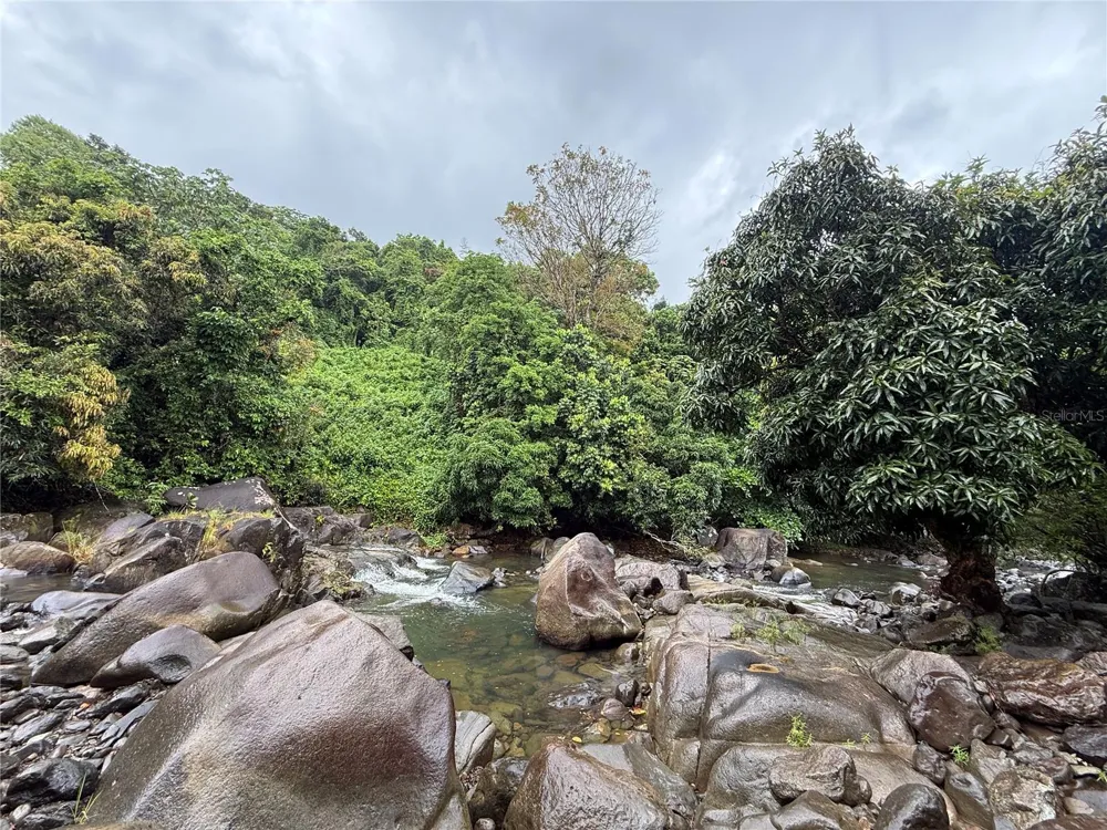 KM 22.1 PR 186 Rio Grande, PR 00745