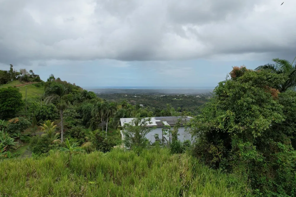 KM 22.1 PR 186 Rio Grande, PR 00745