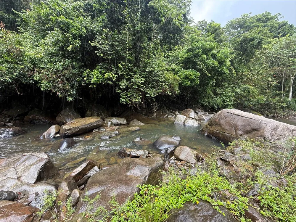 KM 22.1 PR 186 Rio Grande, PR 00745