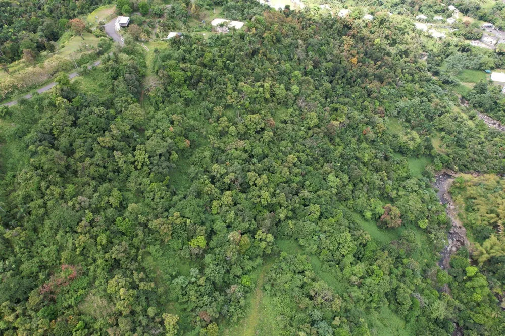 KM 22.1 PR 186 Rio Grande, PR 00745