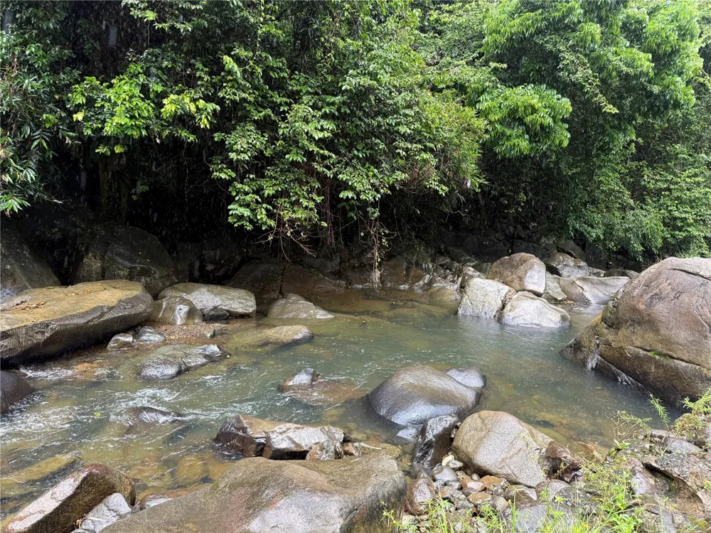 KM 22.1 PR 186 Rio Grande, PR 00745
