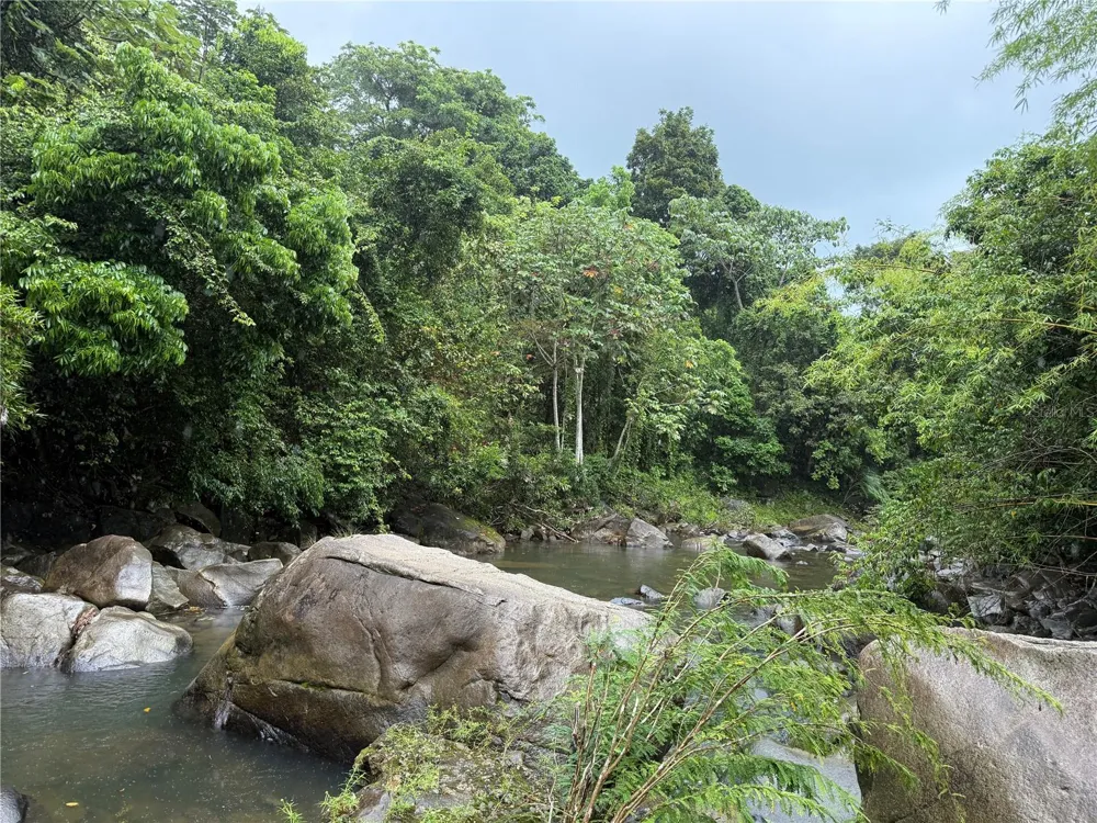 KM 22.1 PR 186 Rio Grande, PR 00745