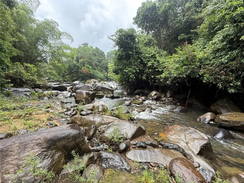 KM 22.1 PR 186 Rio Grande, PR 00745