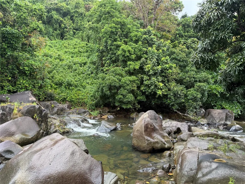 KM 22.1 PR 186 Rio Grande, PR 00745