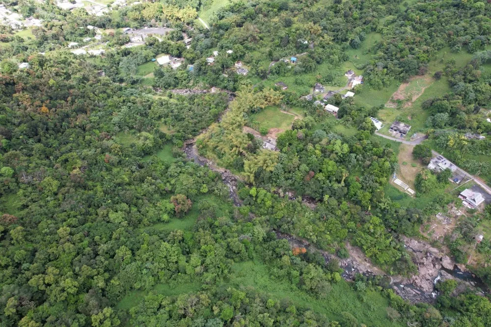 KM 22.1 PR 186 Rio Grande, PR 00745