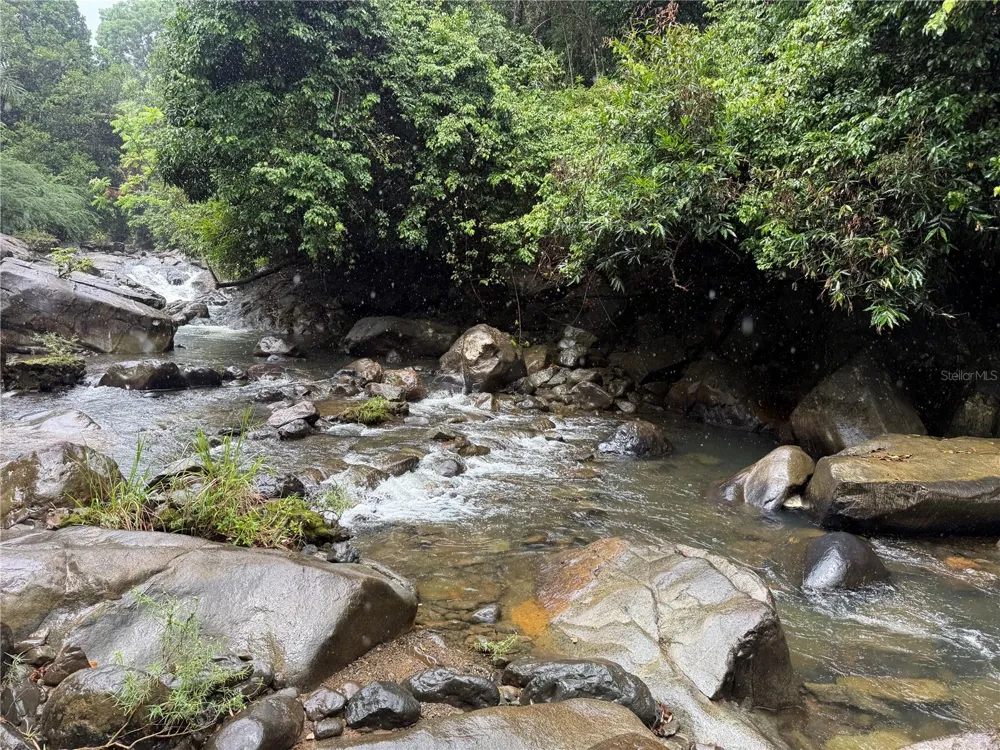 KM 22.1 PR 186 Rio Grande, PR 00745