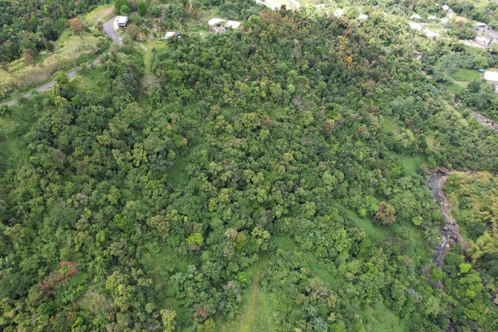 KM 22.1 PR 186 Rio Grande, PR 00745