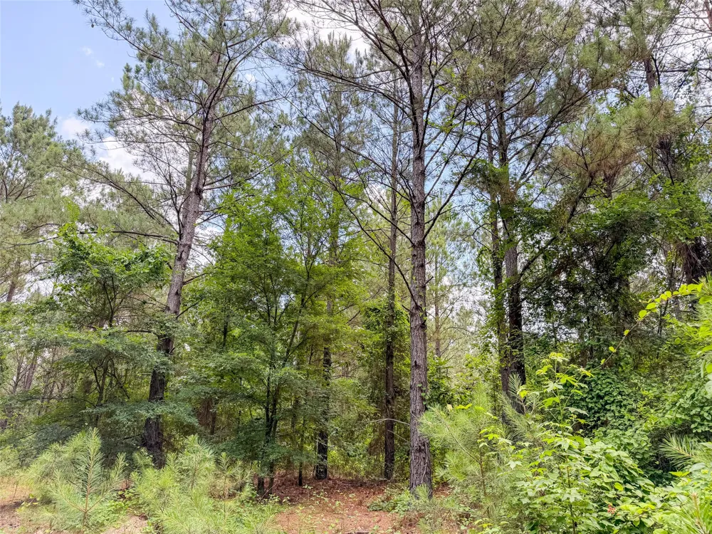 CR 4510 Pittsburg, TX 75686