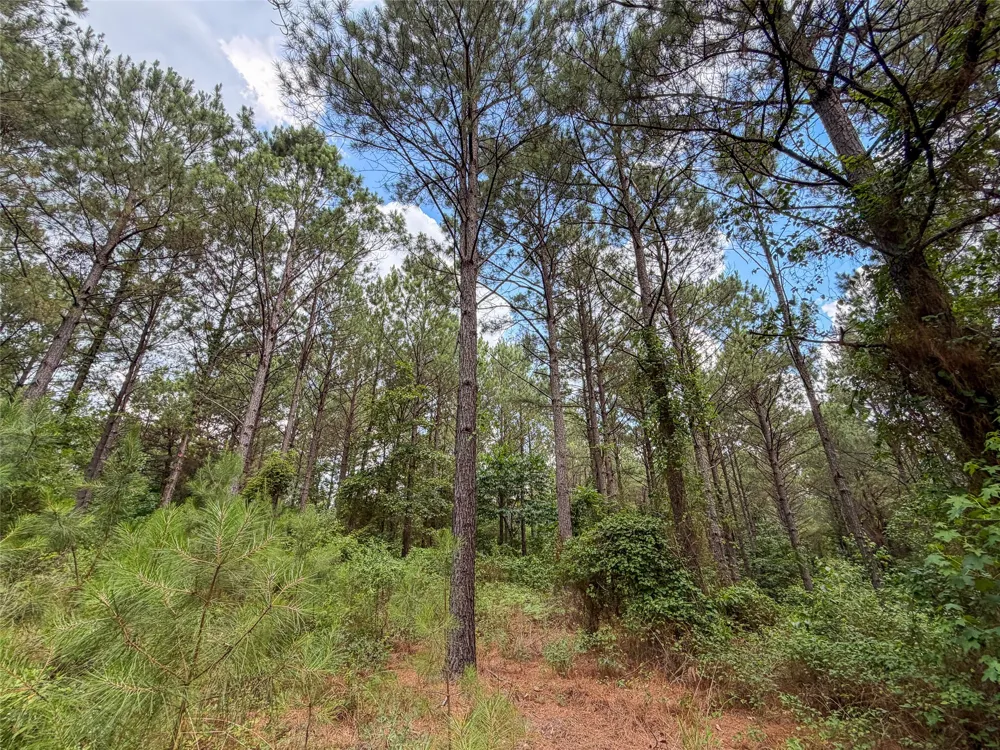 CR 4510 Pittsburg, TX 75686