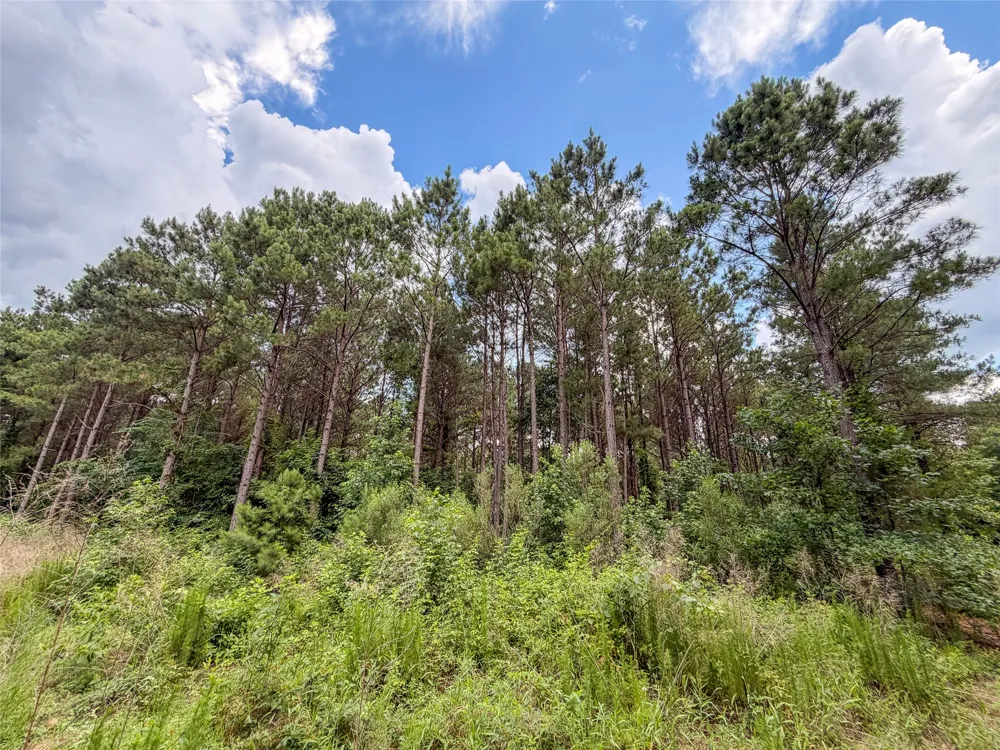 CR 4510 Pittsburg, TX 75686