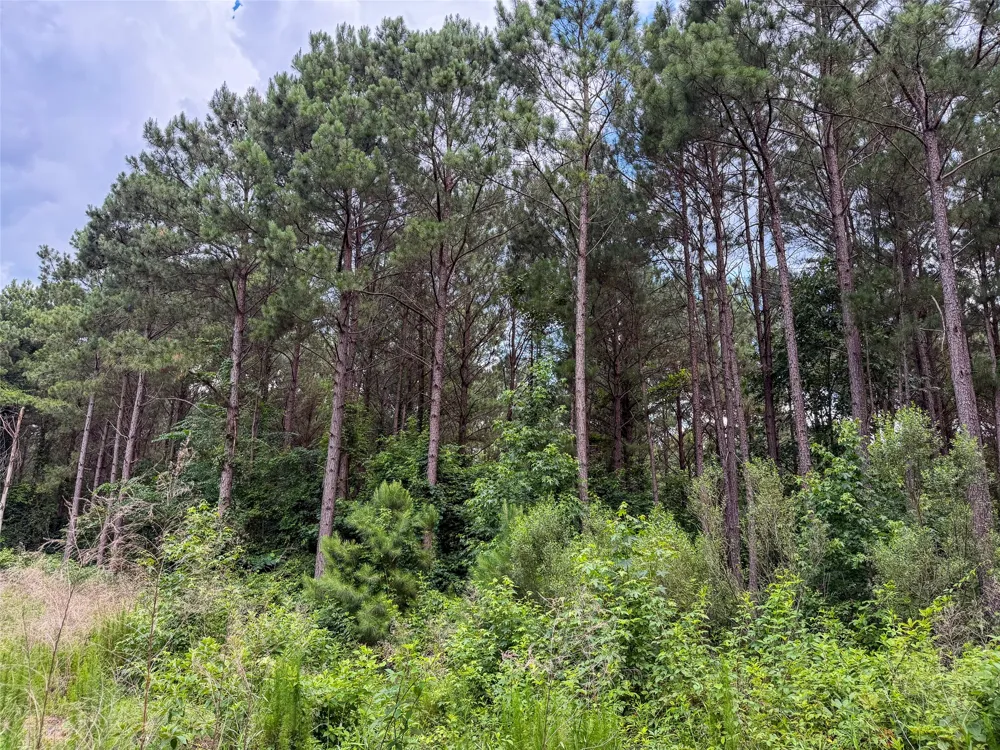 CR 4510 Pittsburg, TX 75686