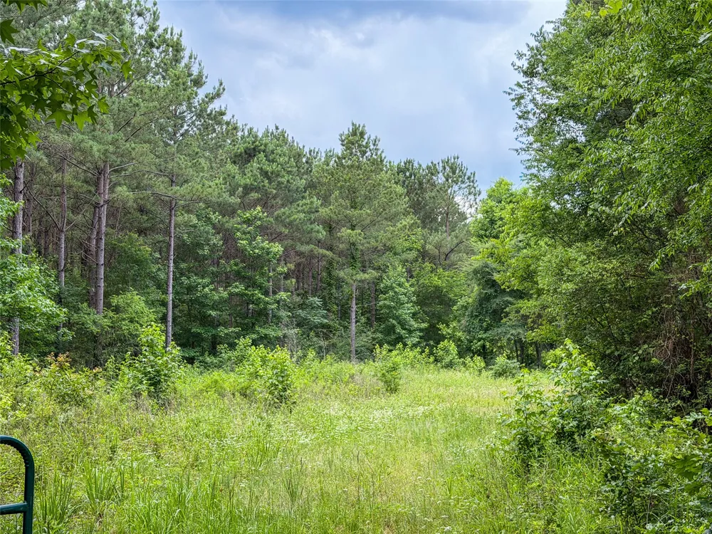 CR 4510 Pittsburg, TX 75686