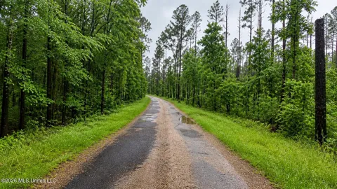 Ford Lane