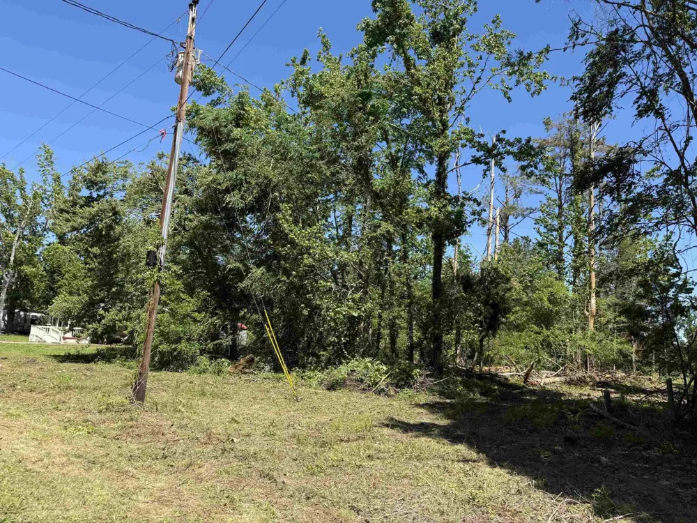 0 CLEMENT DR Savannah, TN 38372