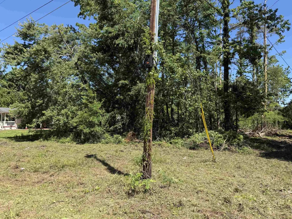 0 CLEMENT DR Savannah, TN 38372