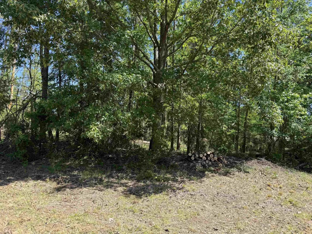 0 CLEMENT DR Savannah, TN 38372