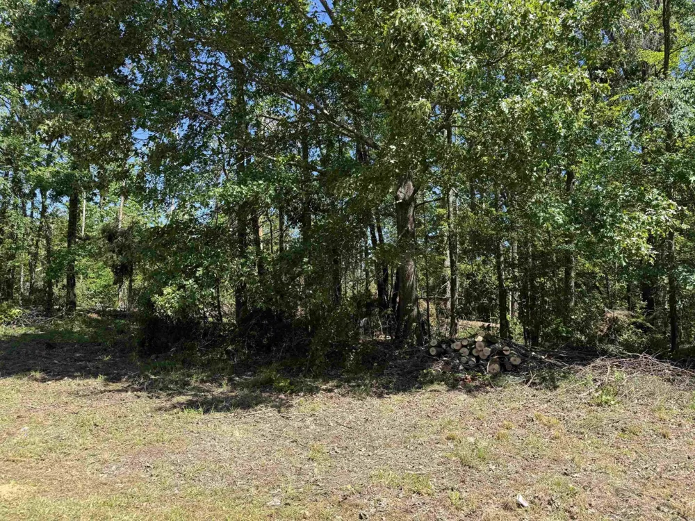 0 CLEMENT DR Savannah, TN 38372
