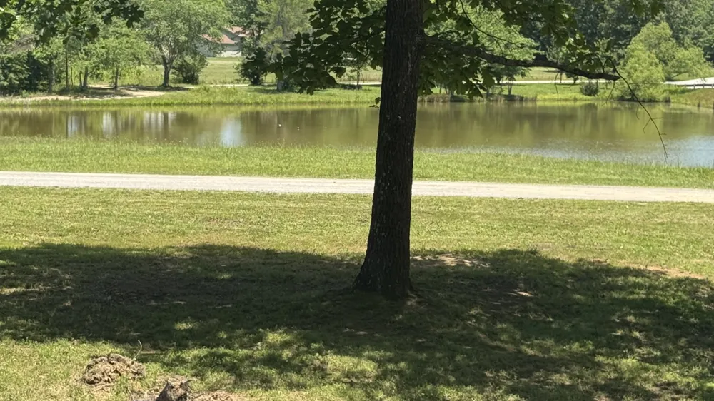 1684 Rimfire Dr Beechgrove, TN 37018