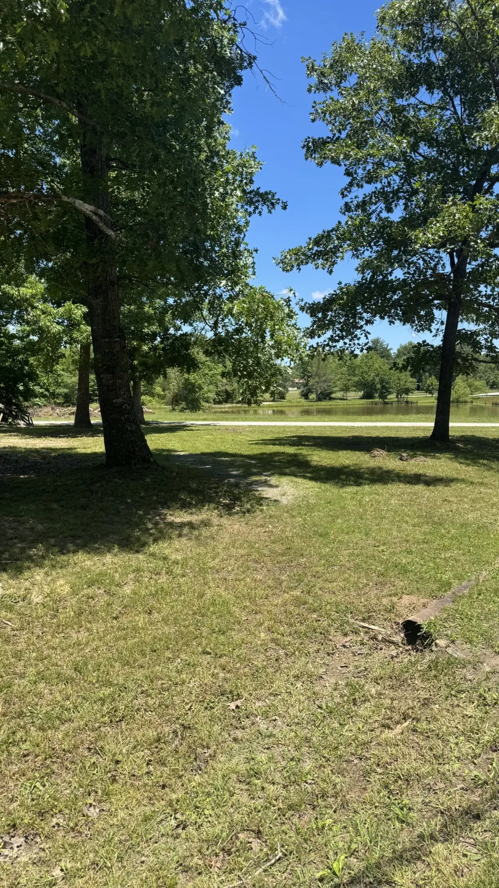 1684 Rimfire Dr Beechgrove, TN 37018