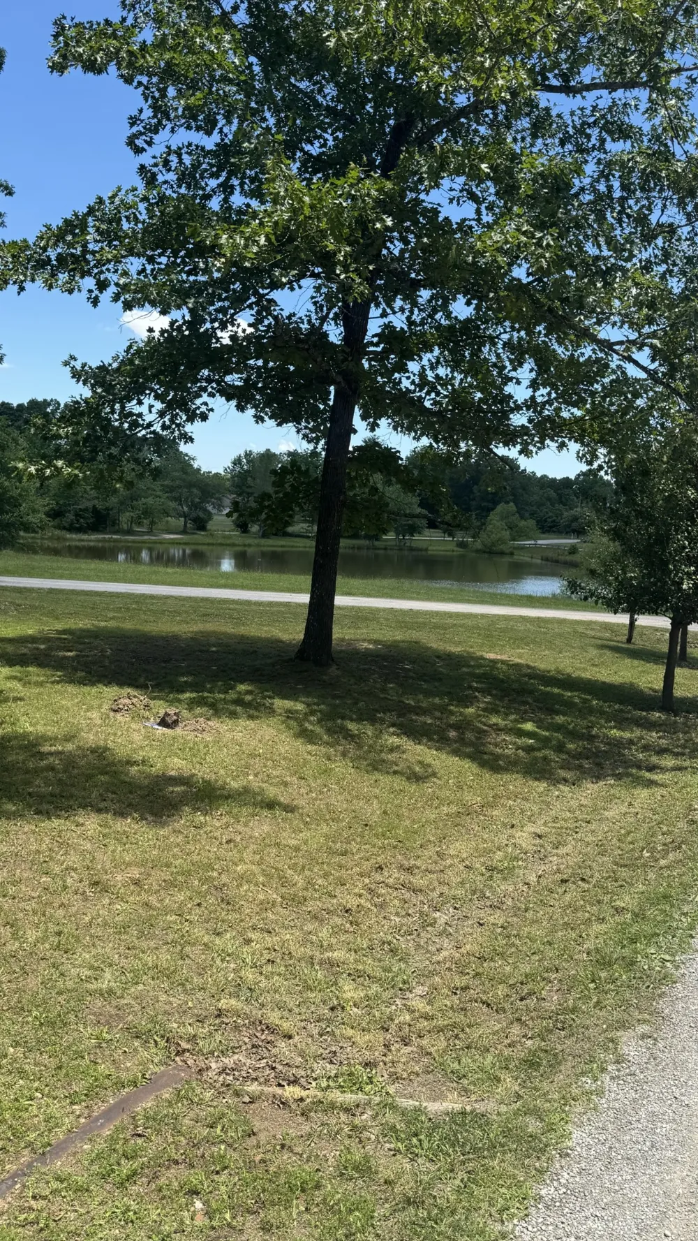 1684 Rimfire Dr Beechgrove, TN 37018