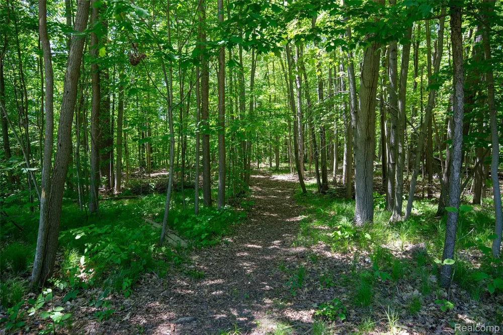 3957 Mill Lake Road Orion Charter Township, MI 48360