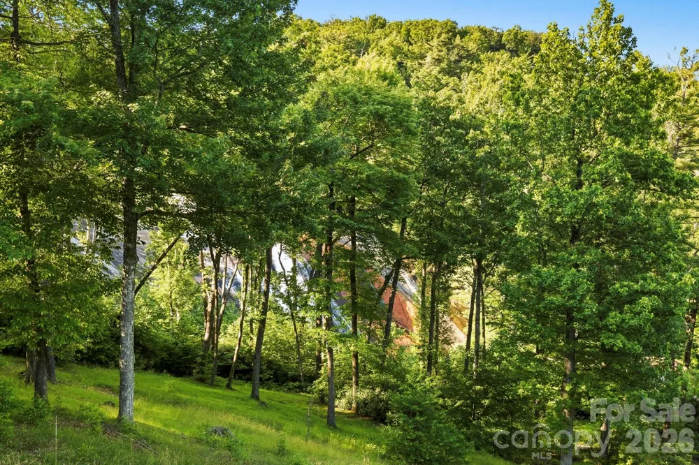 30 Lower Tanglewood Road E #2 Lake Toxaway, NC 28747
