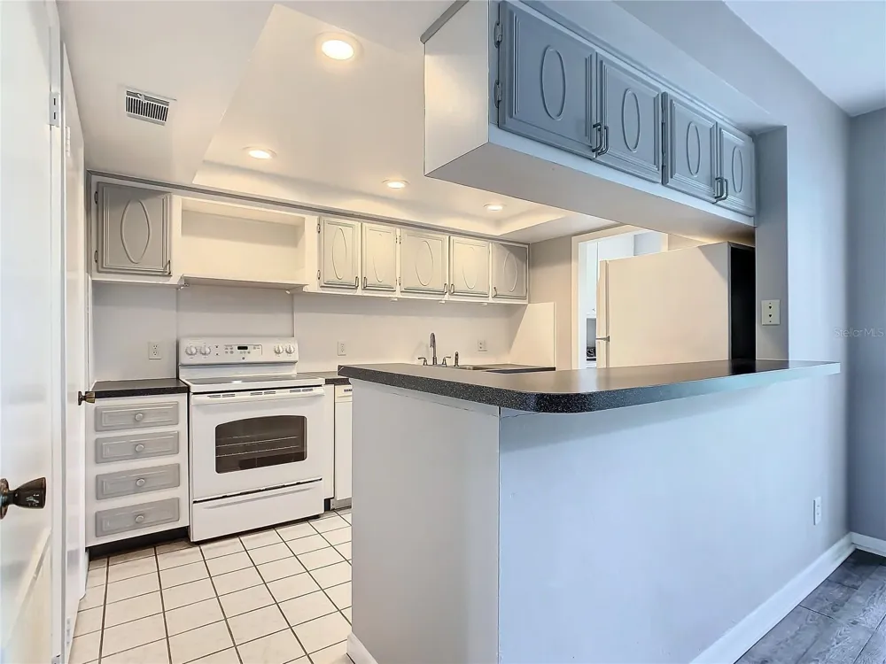 1130 LAKE PARKER AVENUE #A302 Lakeland, FL 33805