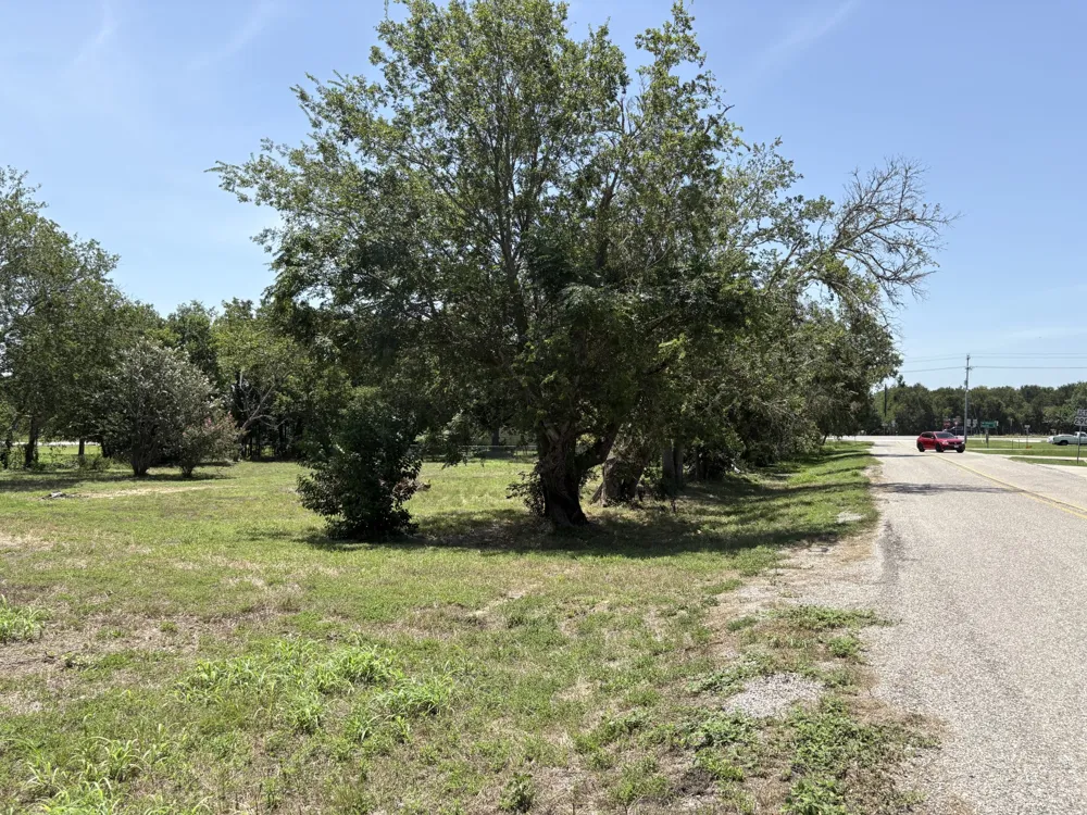 117 Gonzales Street Paige, TX 78659