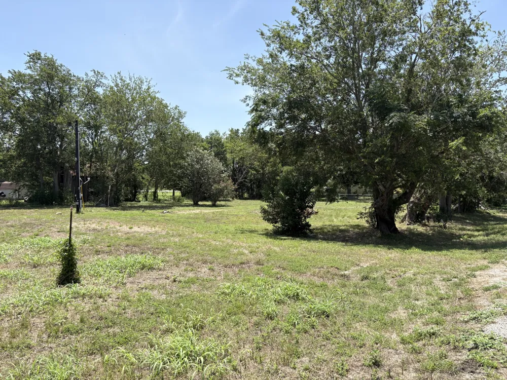 117 Gonzales Street Paige, TX 78659