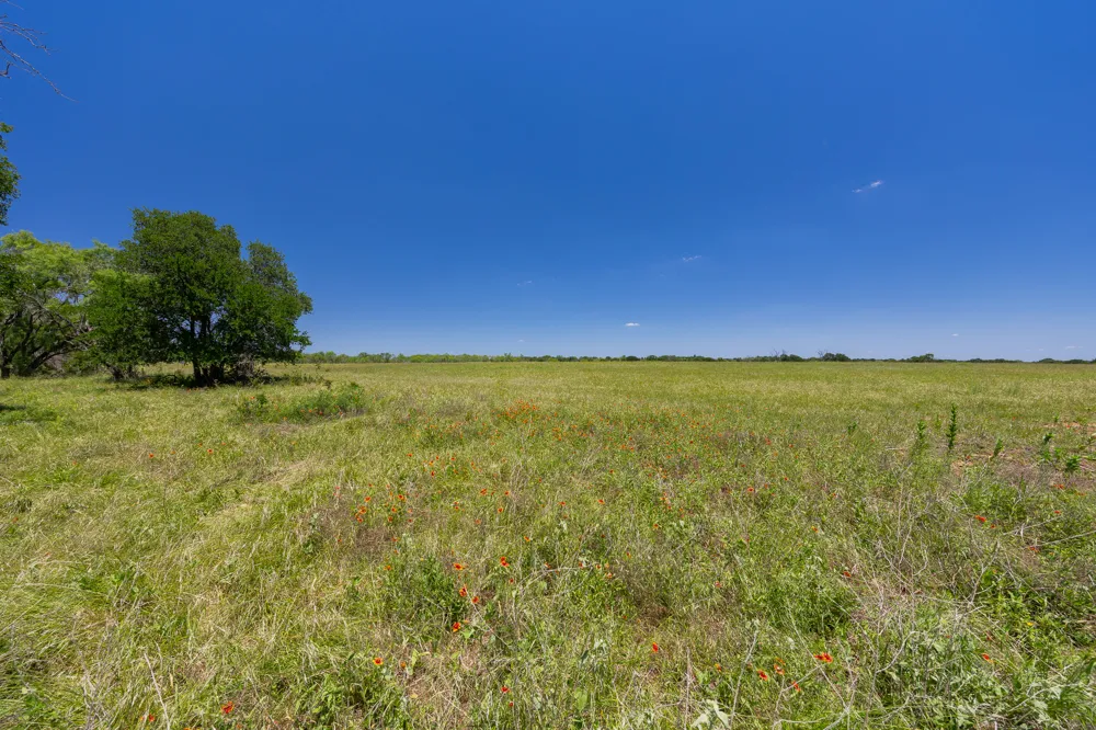Address Not Shown Purmela, TX 76566