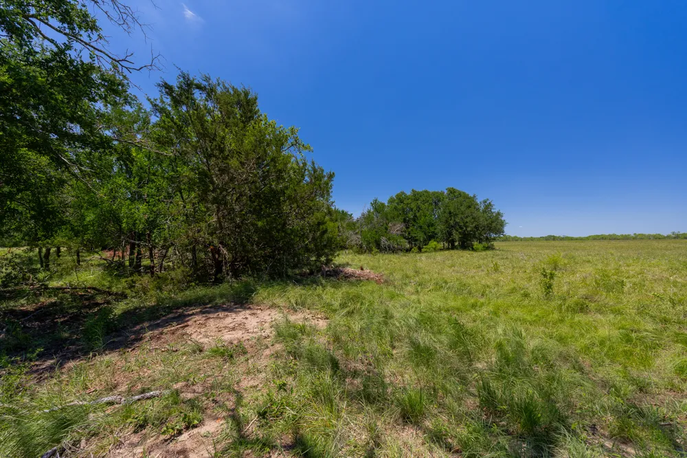 Address Not Shown Purmela, TX 76566