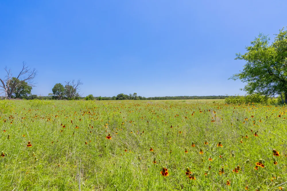 Address Not Shown Purmela, TX 76566