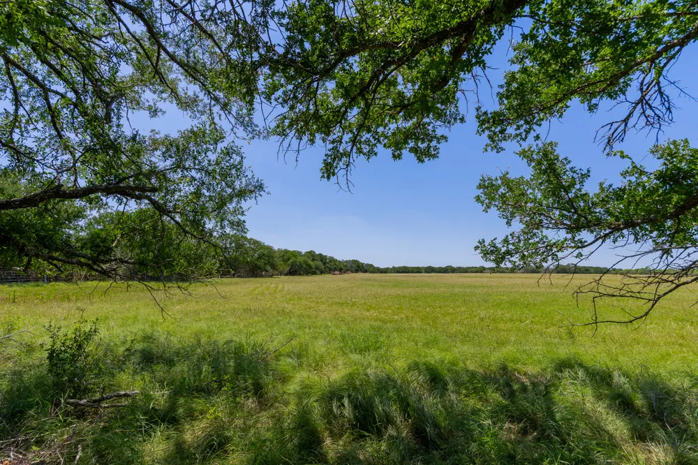 Address Not Shown Purmela, TX 76566