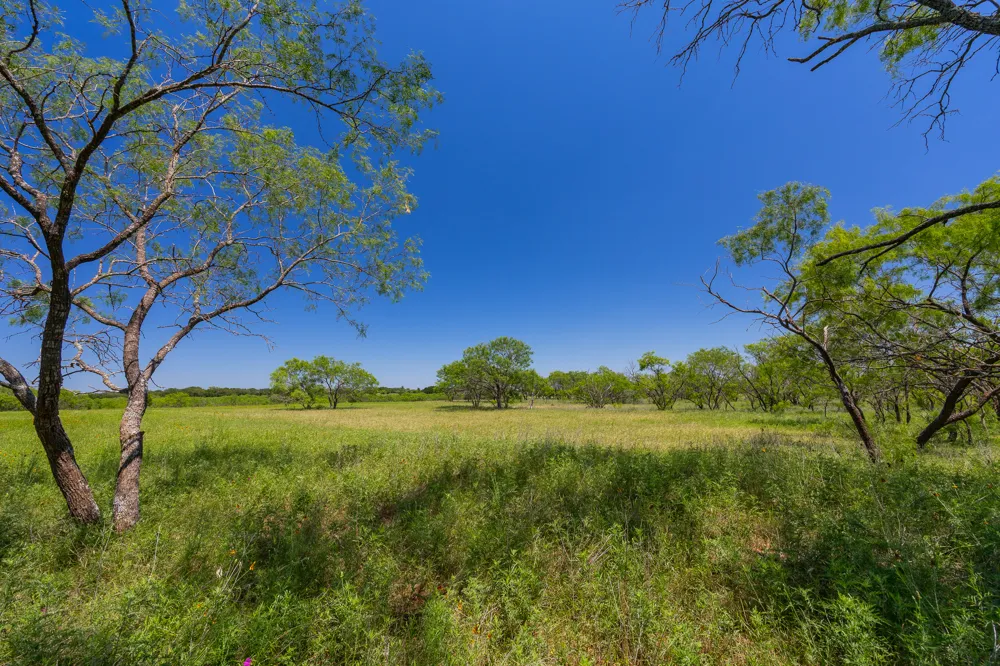 Address Not Shown Purmela, TX 76566