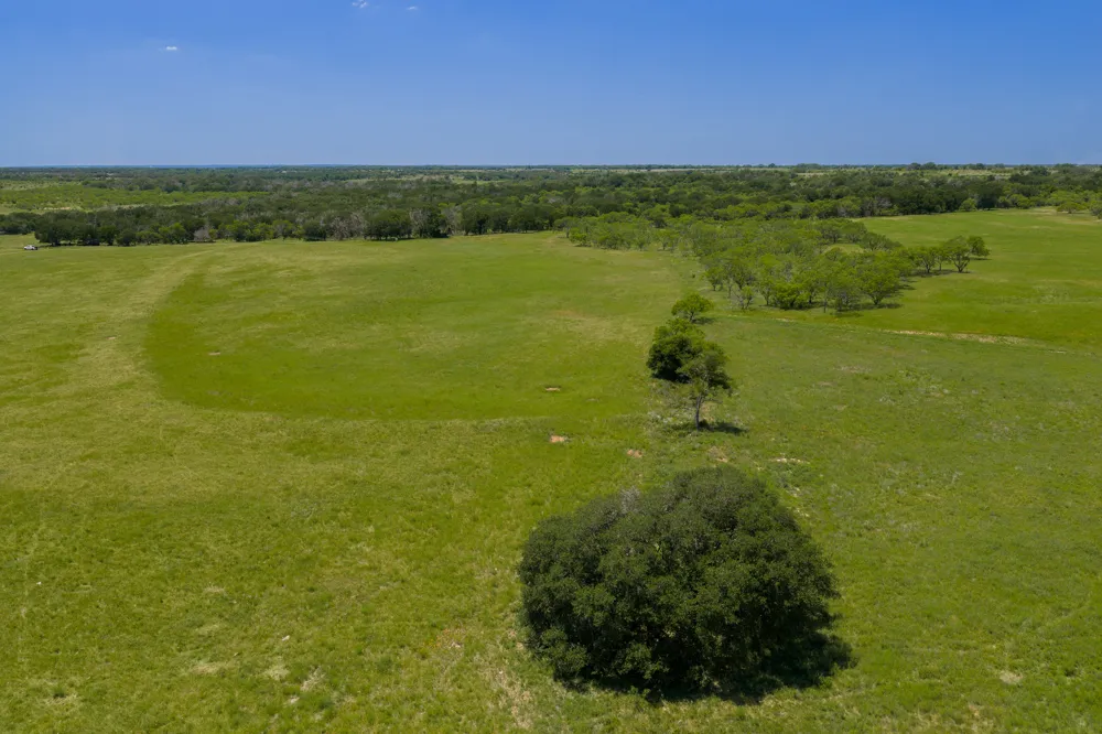 Address Not Shown Purmela, TX 76566