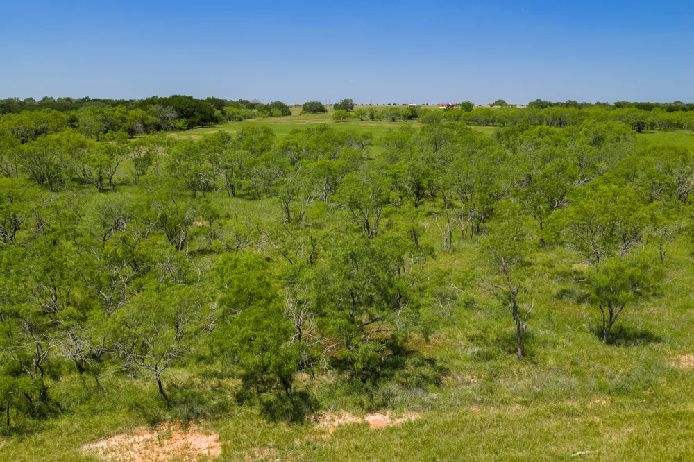 Address Not Shown Purmela, TX 76566