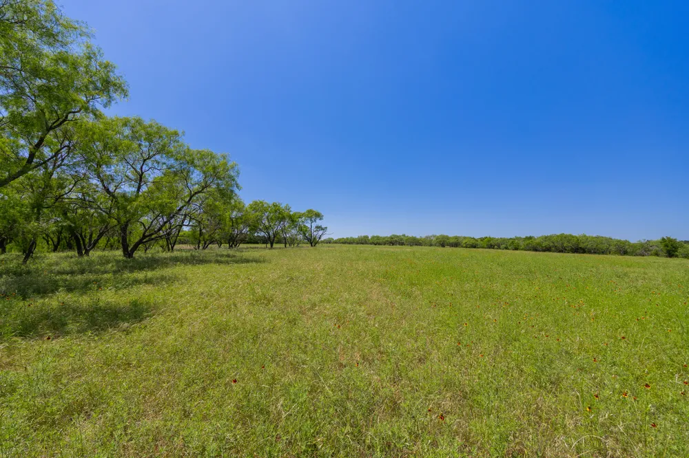 Address Not Shown Purmela, TX 76566