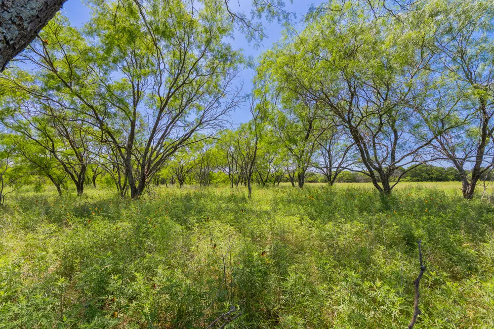 Address Not Shown Purmela, TX 76566