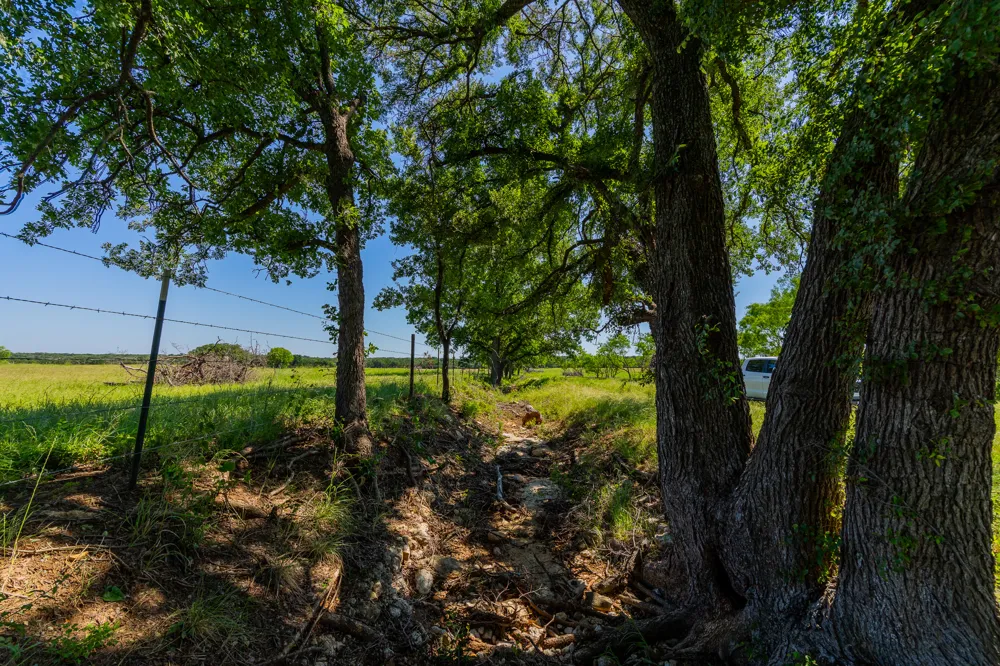 Address Not Shown Purmela, TX 76566