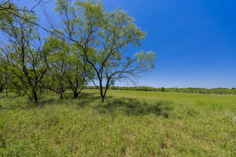 Address Not Shown Purmela, TX 76566