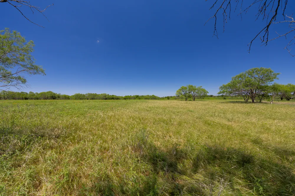 Address Not Shown Purmela, TX 76566