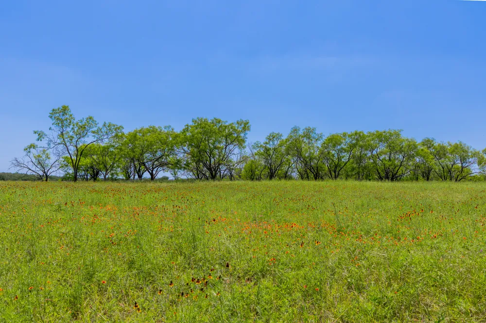 Address Not Shown Purmela, TX 76566